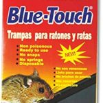BLUE TOUCH 2PK LARGE MICE&RAT GLUE TRAPS Packing / Size : 48/2CT