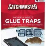 CATCH MASTER 4PK MOUSE GLUE TRAP Packing / Size : 24/4CT
