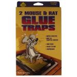 DEAD END 1CT MOUSE GLUE BOARD Packing / Size: 96/1CT