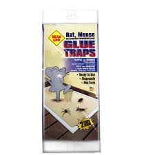 DEAD END 6CT MOUSE&ROACH GLUE Packing / Size : 24/6CT