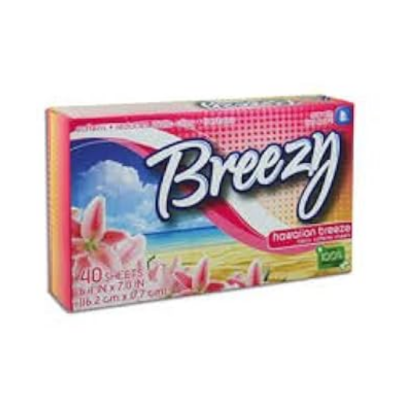 FAB.DRY SHEETS-BREEZY/SOFT Packing / Size : 24/40CT