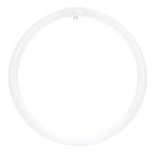 SUNLITE FLUORESCENT CIRCLINE BULB-32W Packing / Size : 12/1