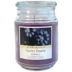 BUBBLE TOP CANDLE-MULBERRY Packing / Size : 6/180z