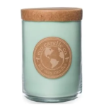 CLASSIC CANDLE GREEN APPLE Packing / Size : 8/1