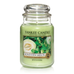 CLASSIC CANDLE-HONEYDEW Packing / Size : 8/1
