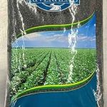 Riverhead Black Beans 50Lb.