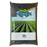 Riverhead Black Beans 25Lb