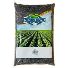 Riverhead Black Beans 25Lb